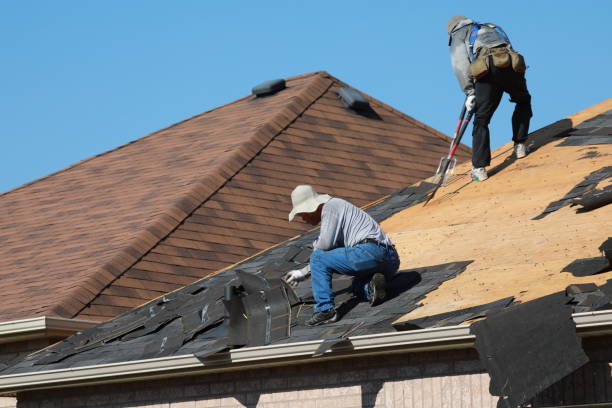 Best Roof Moss and Algae Removal  in Wolf Point, MT