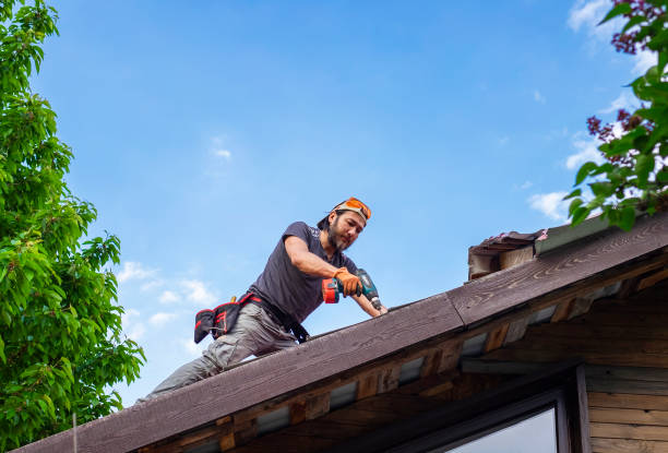 Best Gutter Installation and Repair  in Wolf Point, MT